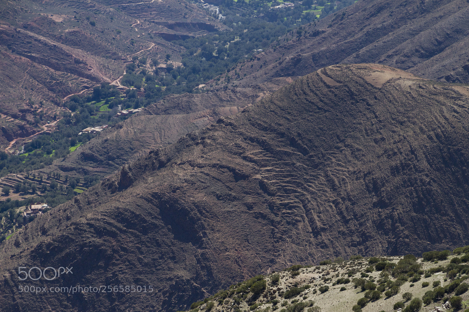Canon EOS 7D sample photo. 2018-3865.jpg photography