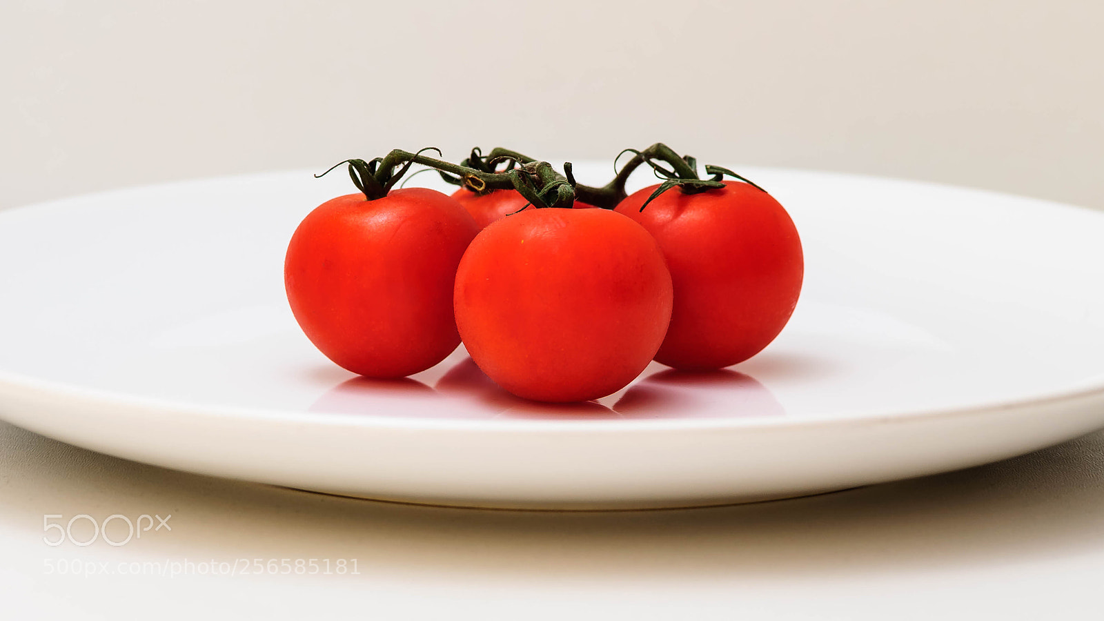 Nikon D5000 sample photo. Tomatoes photography