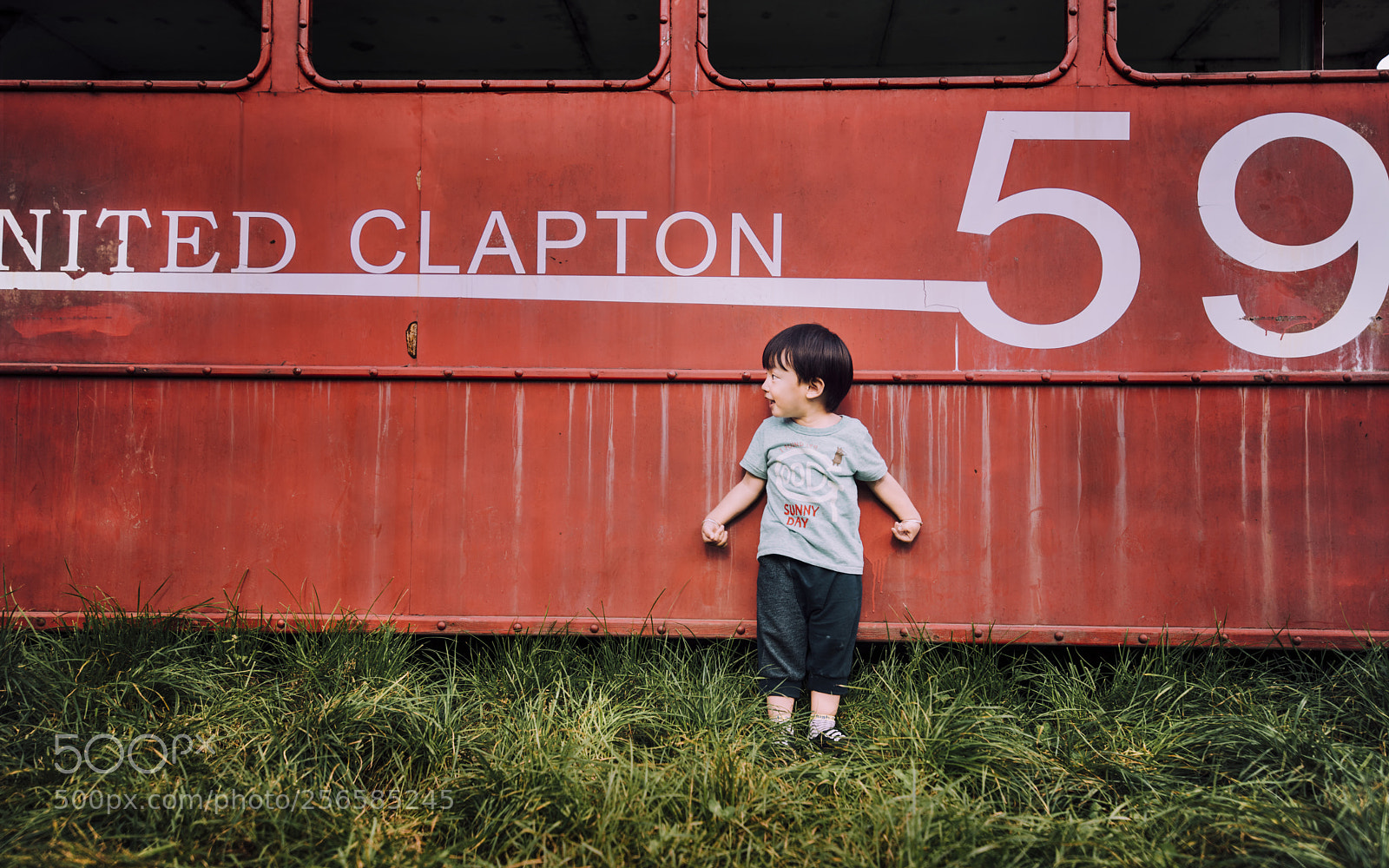Nikon D810 sample photo. Red photography