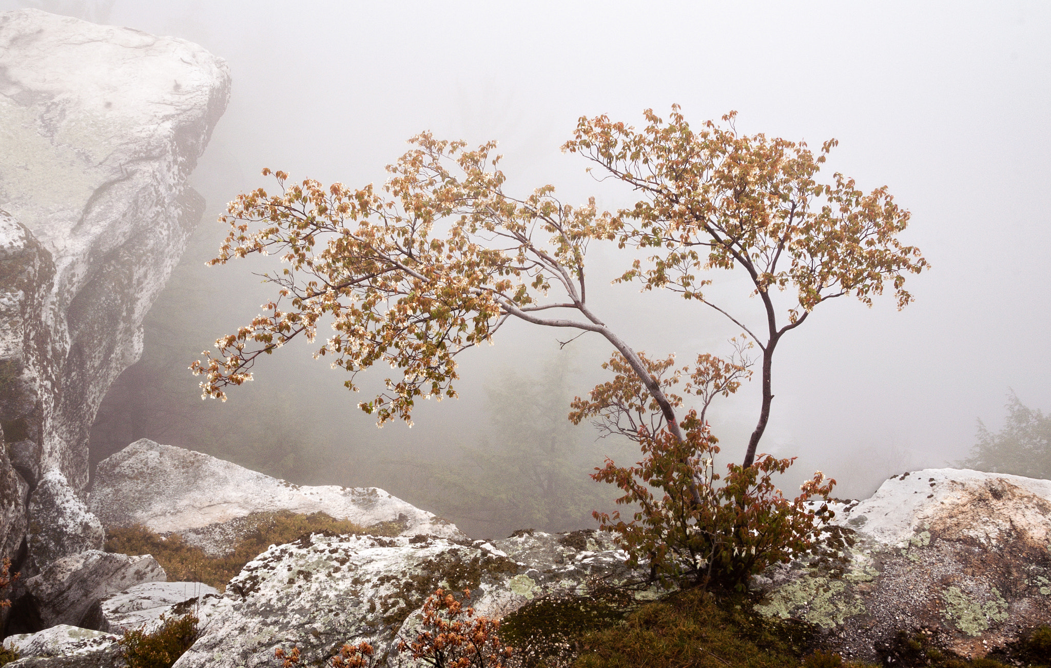 KONICA MINOLTA MAXXUM 7D sample photo. Fog over lake minnewaska photography