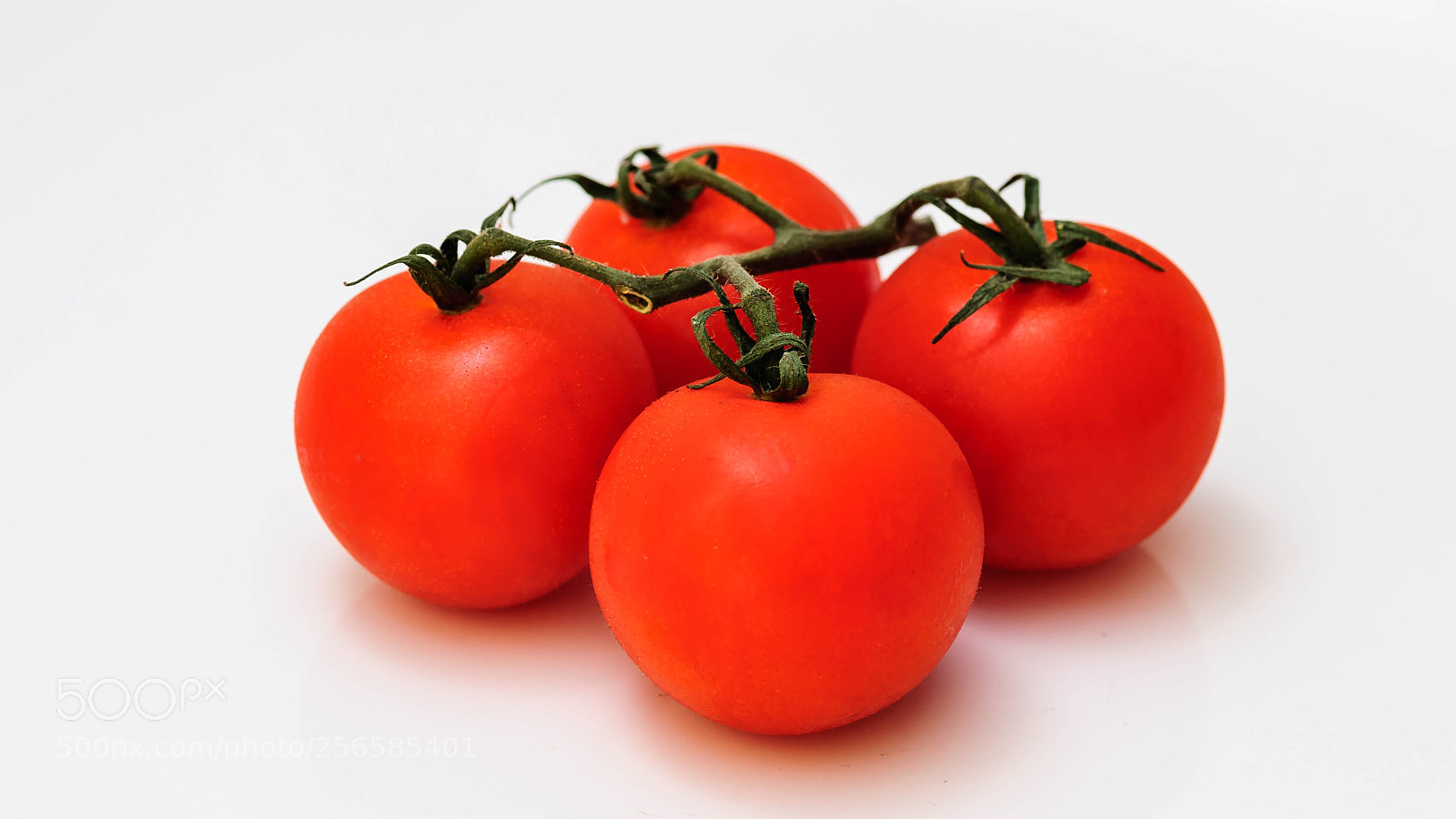 Nikon D5000 sample photo. Tomatoes photography