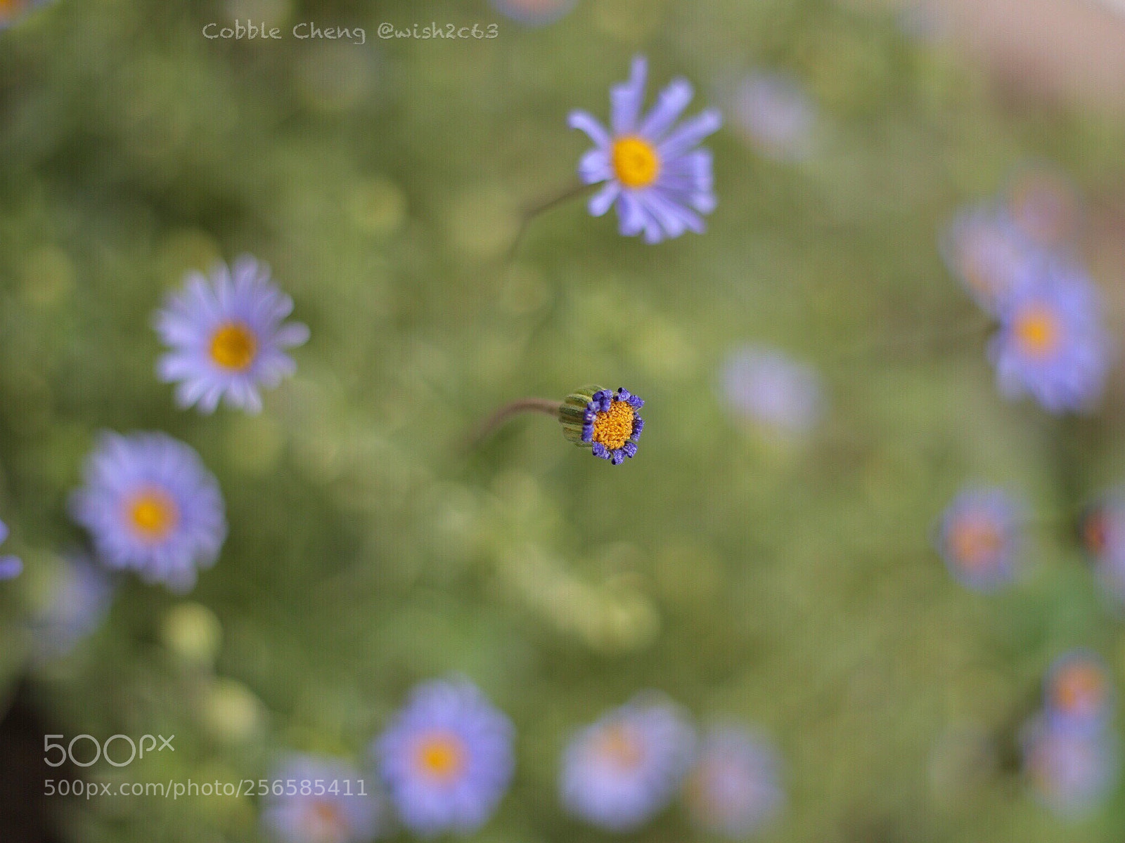 Canon EOS 6D sample photo. Untitled photography