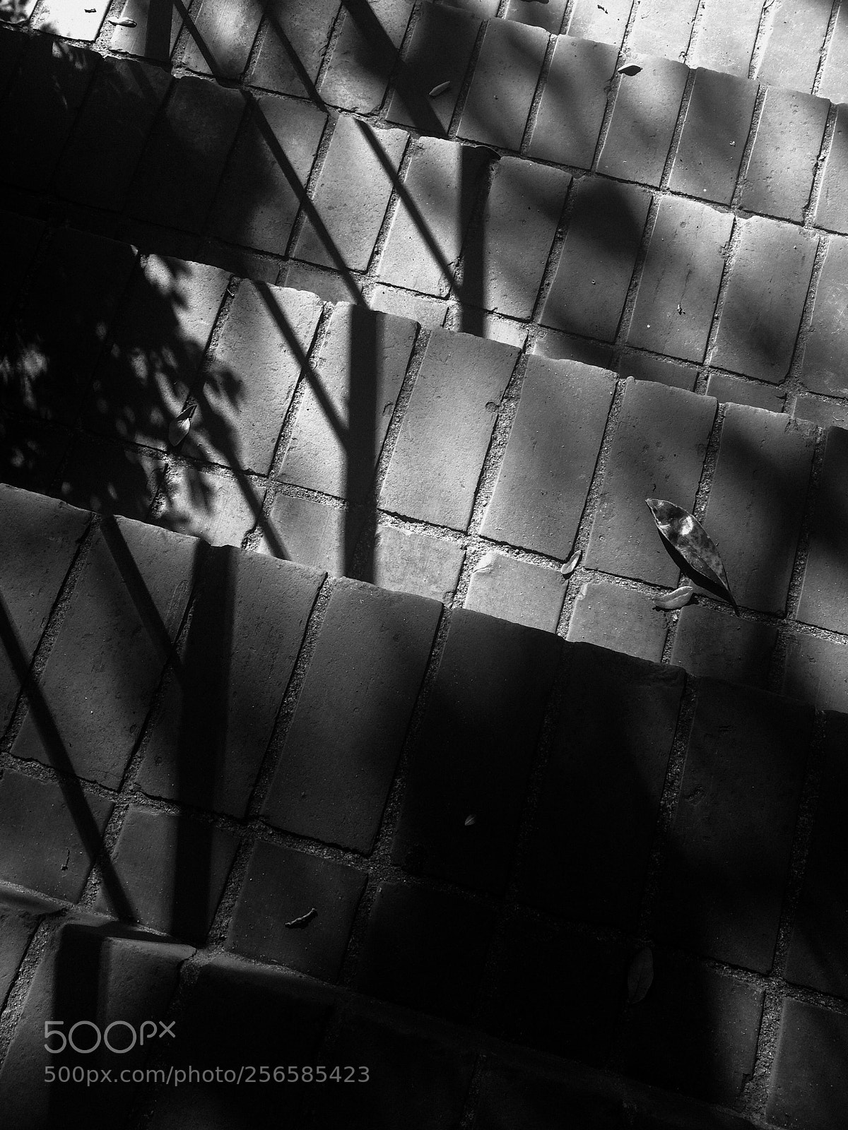 Apple iPhone 5s sample photo. B&w brick steps photography