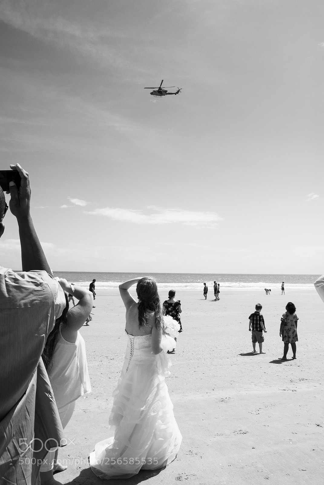 Nikon D3000 sample photo. Untitled photography