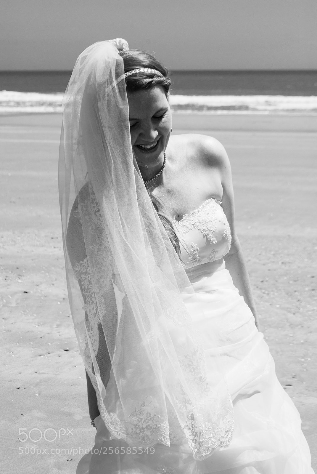 Nikon D3000 sample photo. Untitled photography
