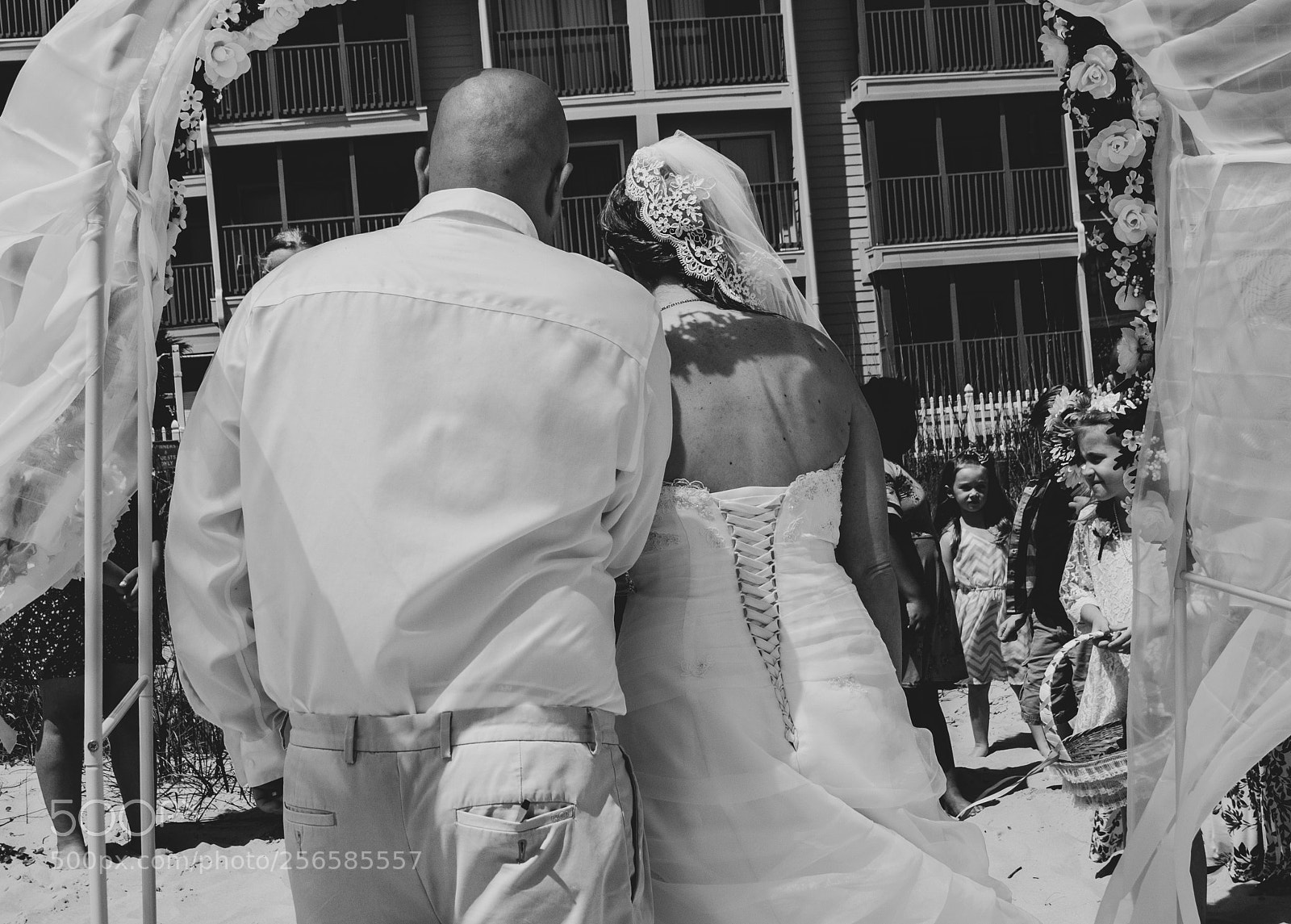 Nikon D3000 sample photo. Untitled photography