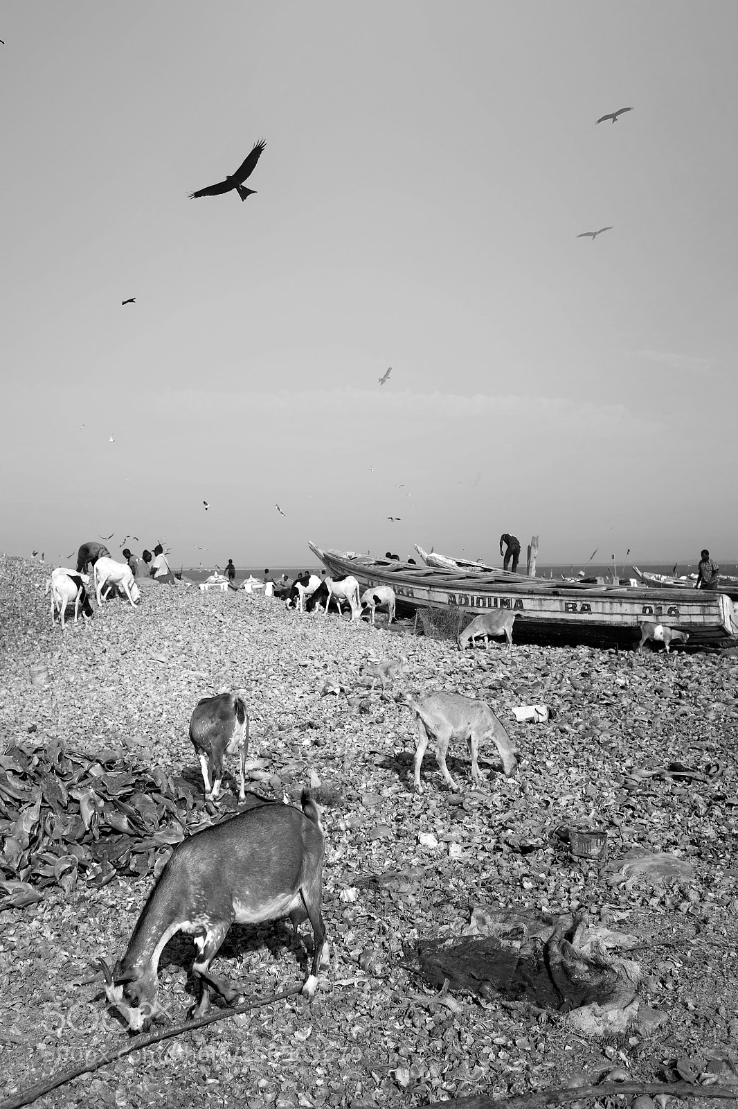 Fujifilm X100S sample photo. Untitled photography