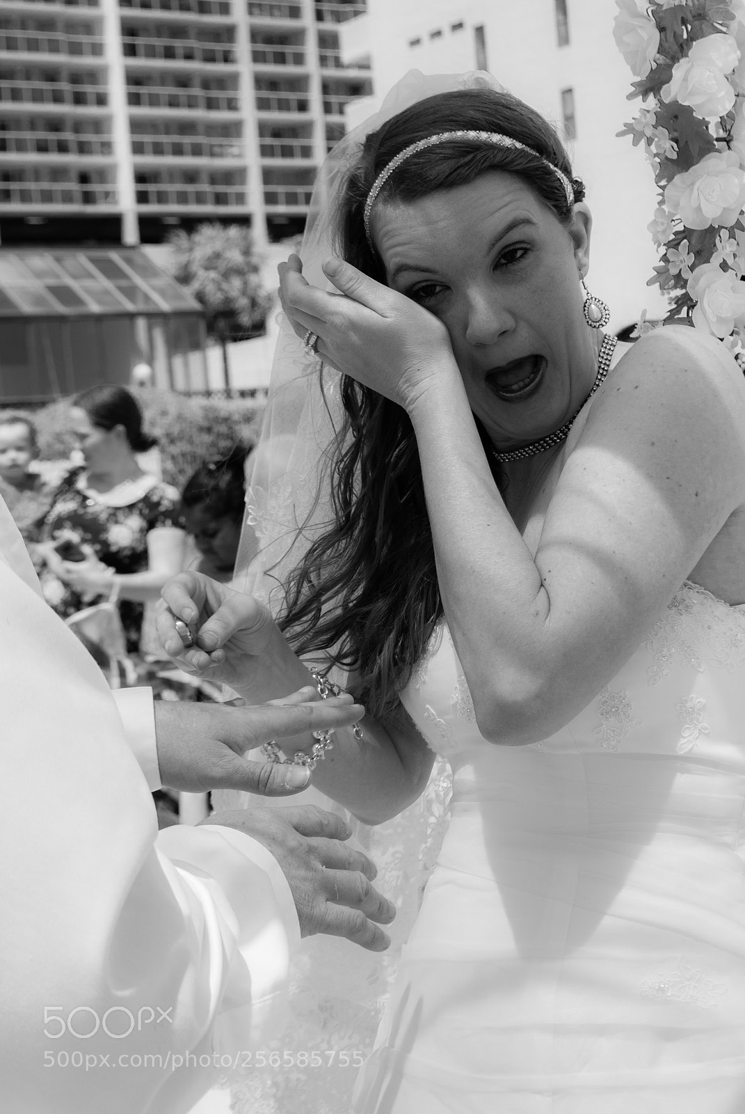 Nikon D3000 sample photo. Untitled photography