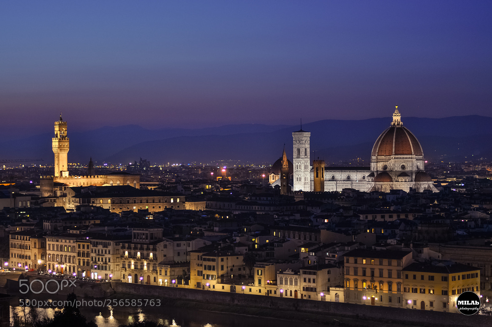 Nikon D5000 sample photo. Firenze viola photography