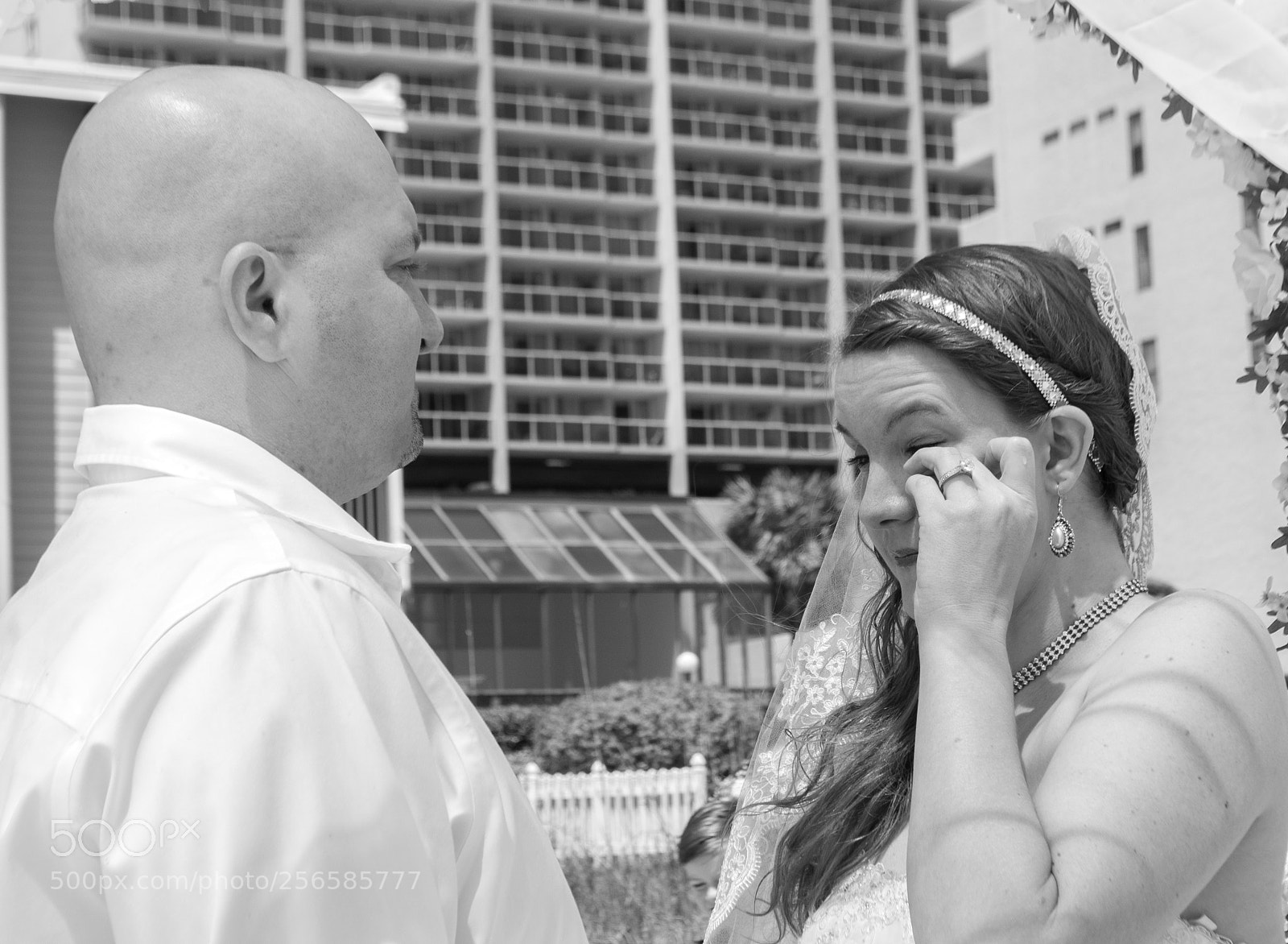 Nikon D3000 sample photo. Untitled photography
