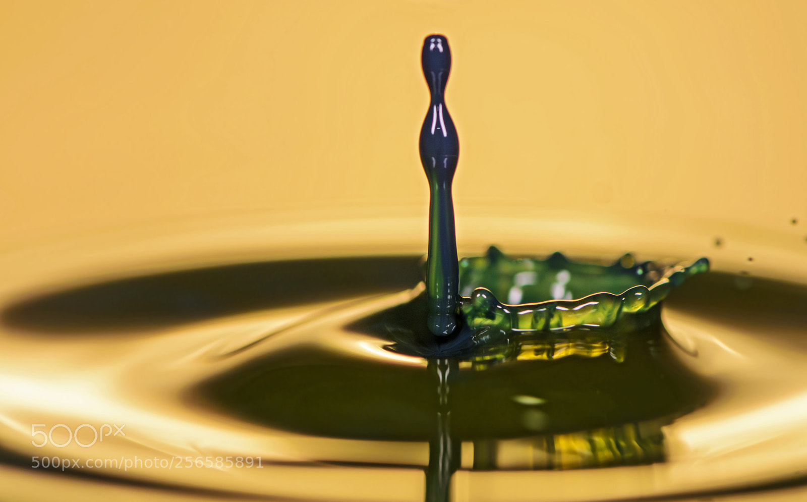 Nikon D810 sample photo. Water drop art. photography