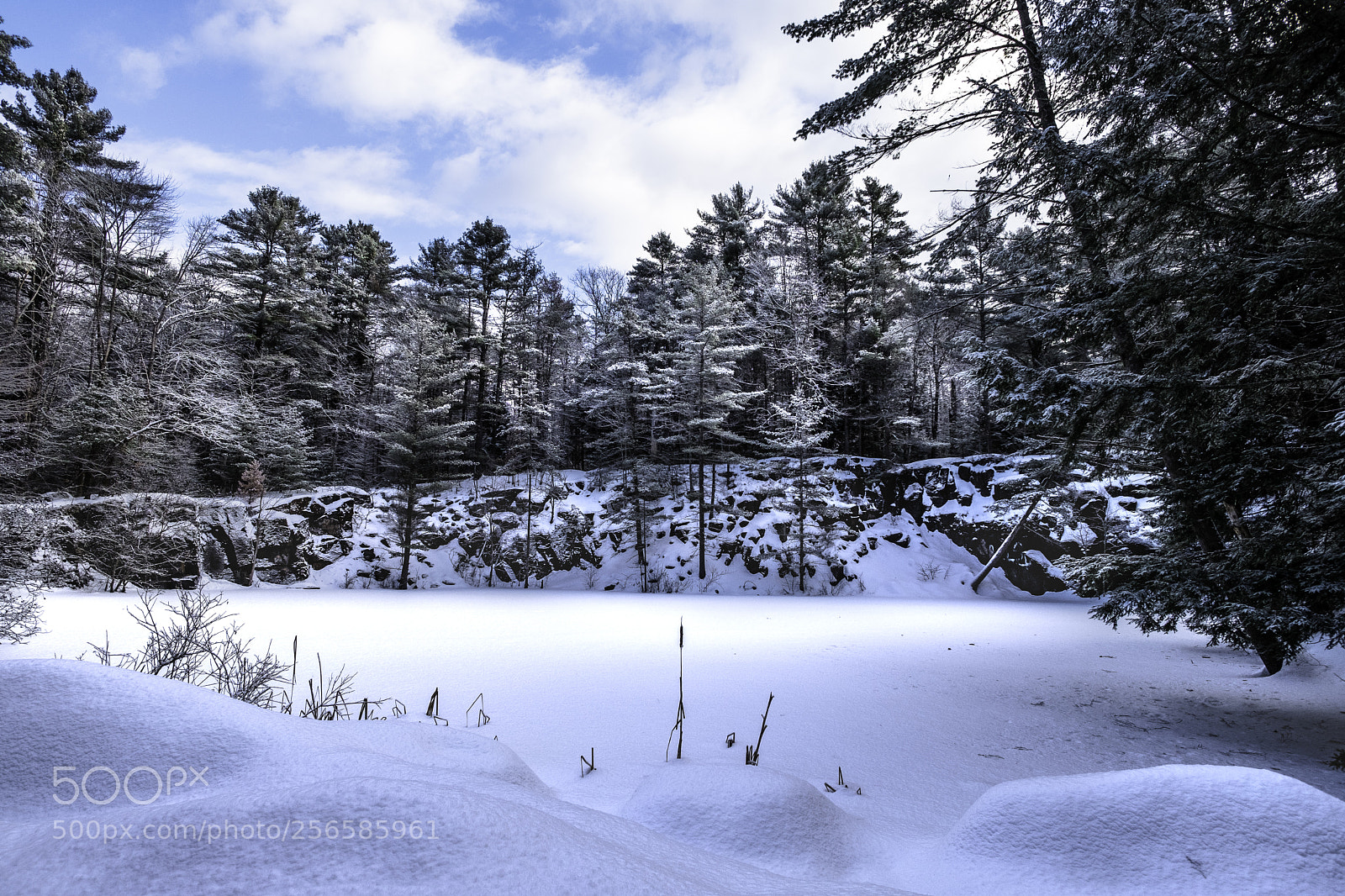 Fujifilm X-Pro2 sample photo. Frozen pond adirondack mts photography