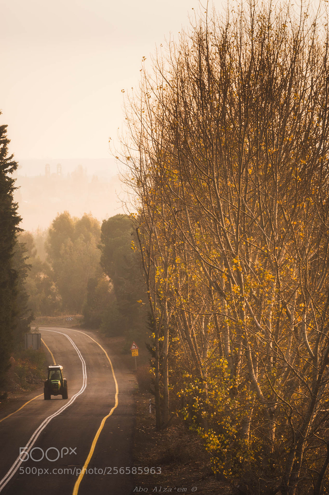 Canon EOS 70D sample photo. Warm morming ride photography