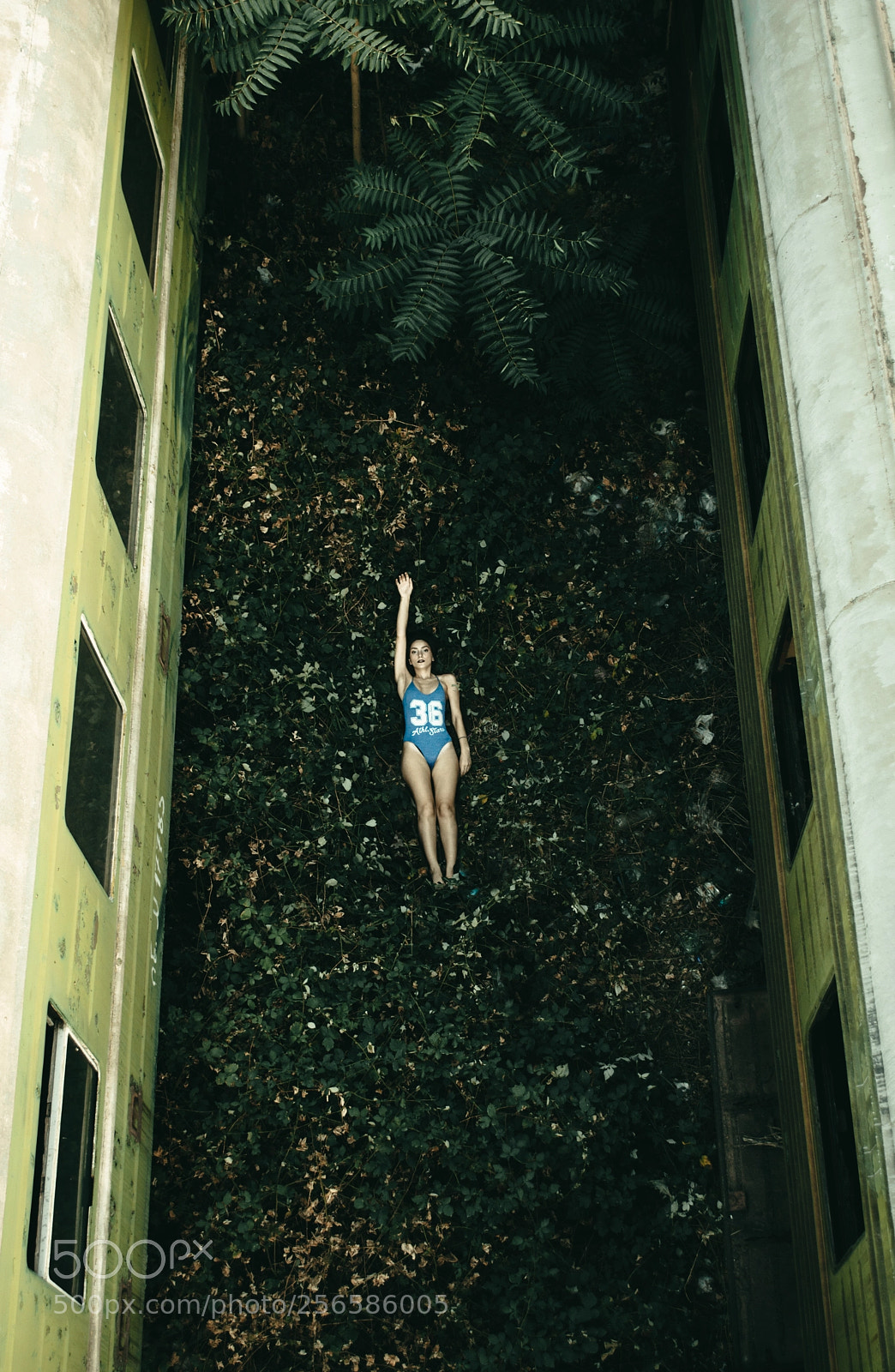 Nikon D5200 sample photo. Silent swim photography