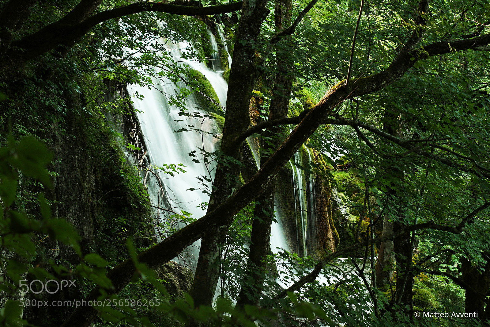 Canon EOS 70D sample photo. Waterfall into the forest photography