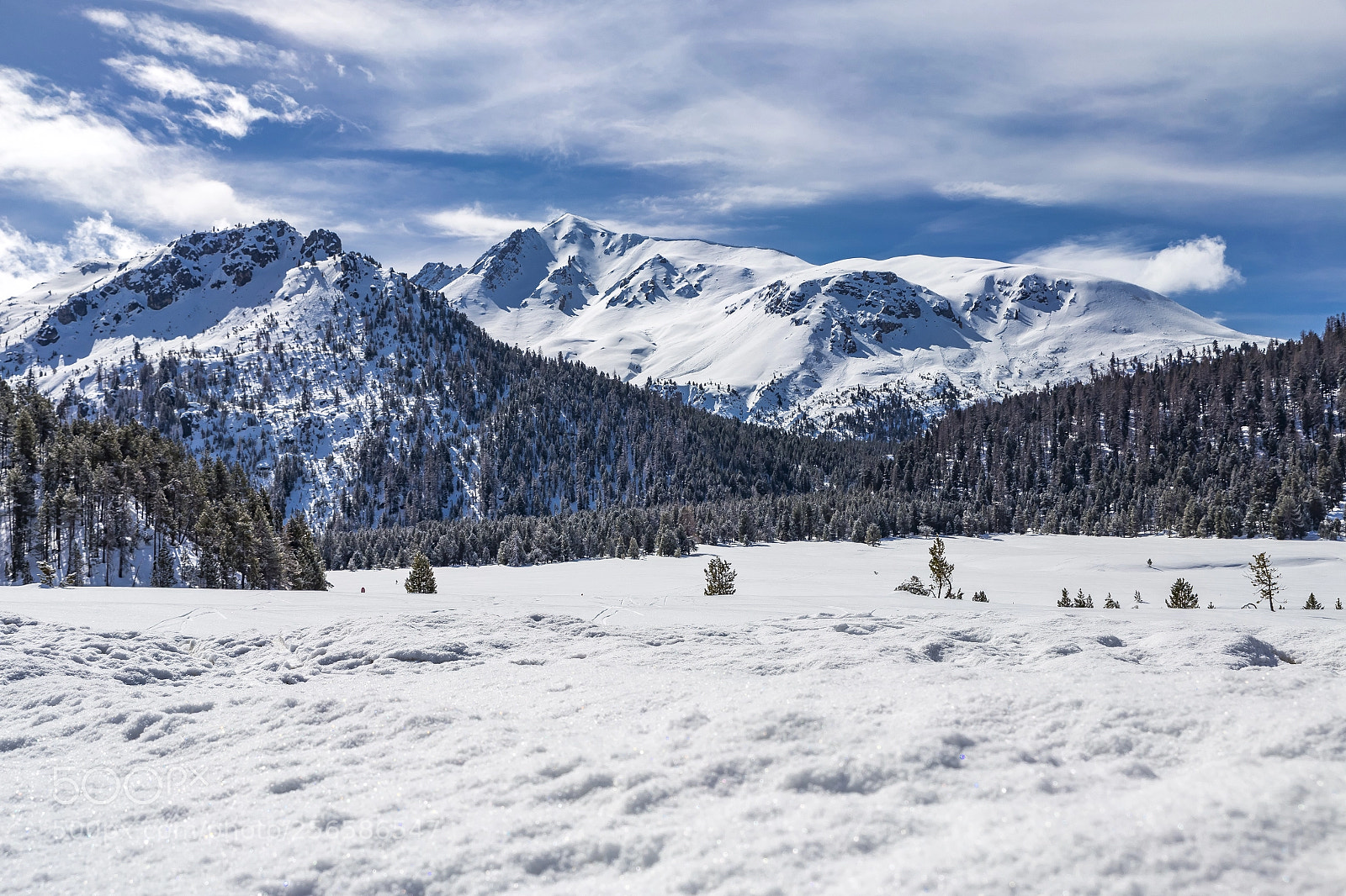 Canon EOS 6D sample photo. Swiss national park in photography