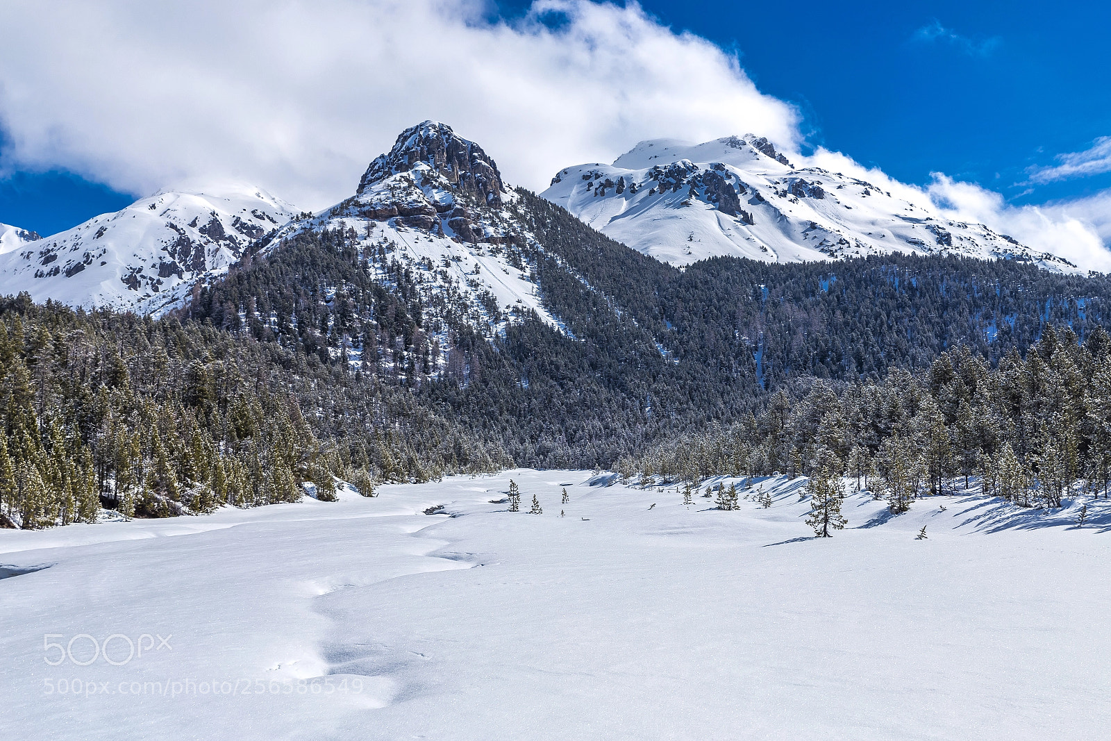 Canon EOS 6D sample photo. Swiss national park in photography