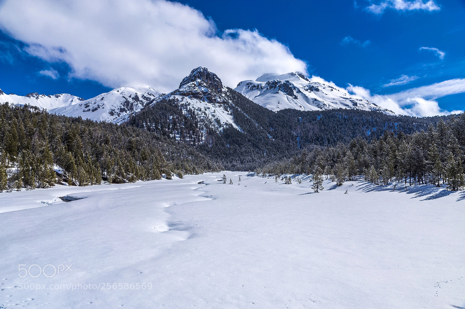 Canon EOS 6D sample photo. Swiss national park in photography