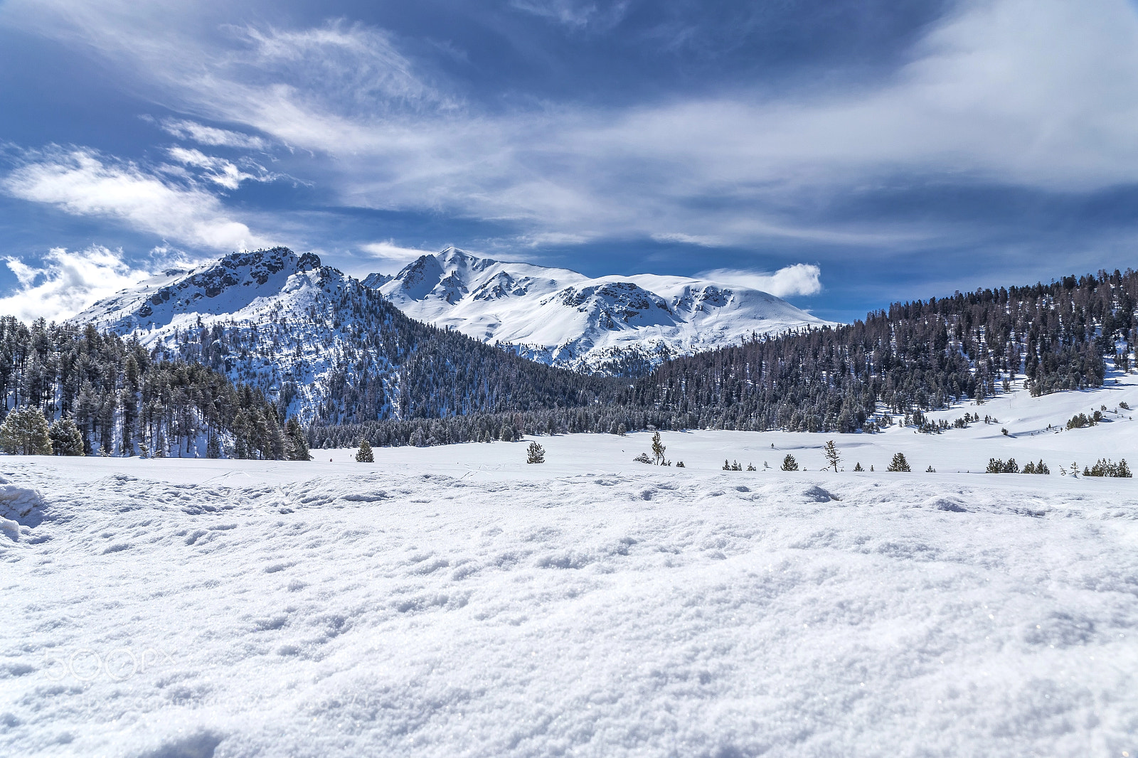 Canon EOS 6D sample photo. Swiss national park in photography