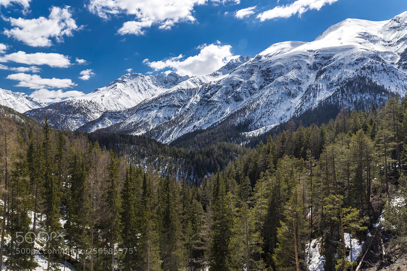 Canon EOS 6D sample photo. Swiss national park in photography