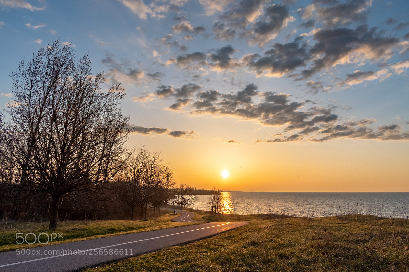 Nikon D5600 sample photo. Good morning ontario photography