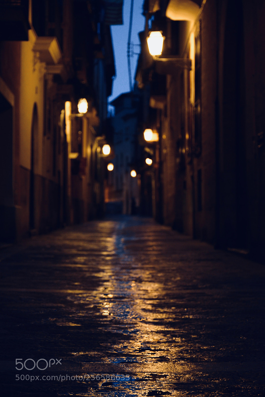 Nikon D600 sample photo. Night photography