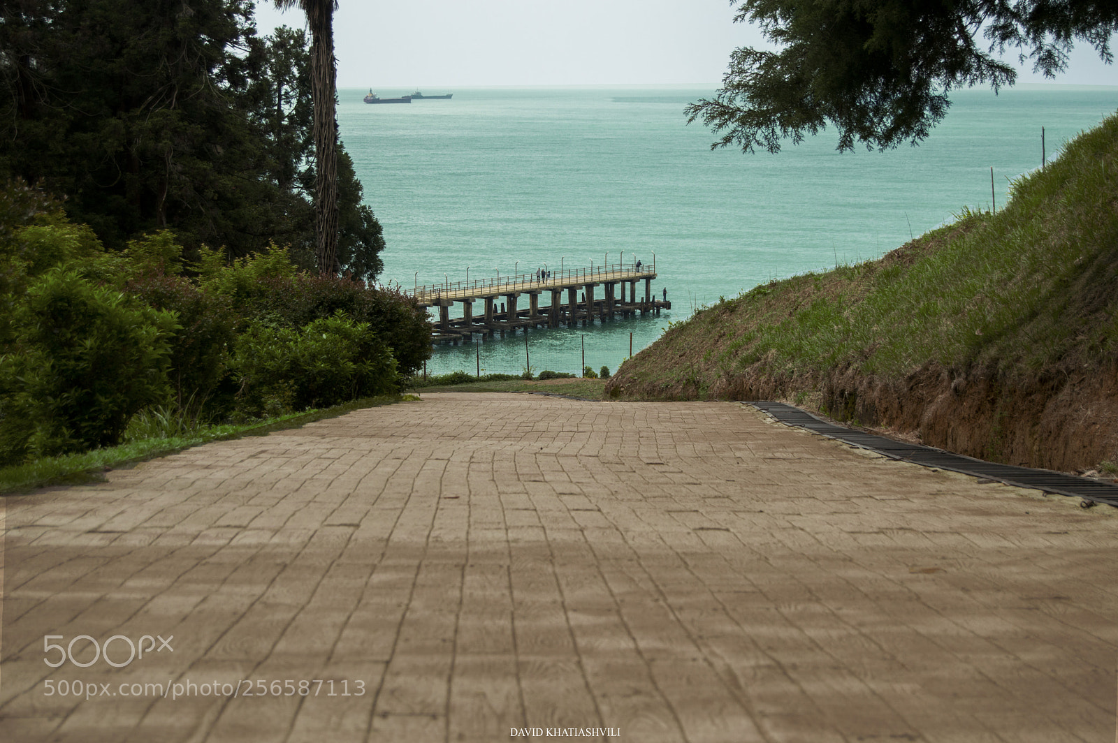 Nikon D3200 sample photo. Botanical garden photography
