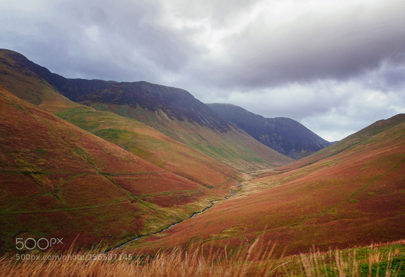 Olympus OM-D E-M5 sample photo. Lake district ii photography