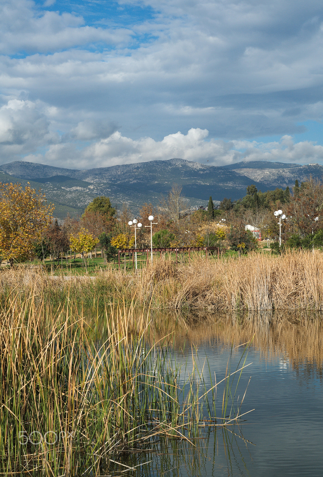 Nikon D90 sample photo. Into a park in athens photography