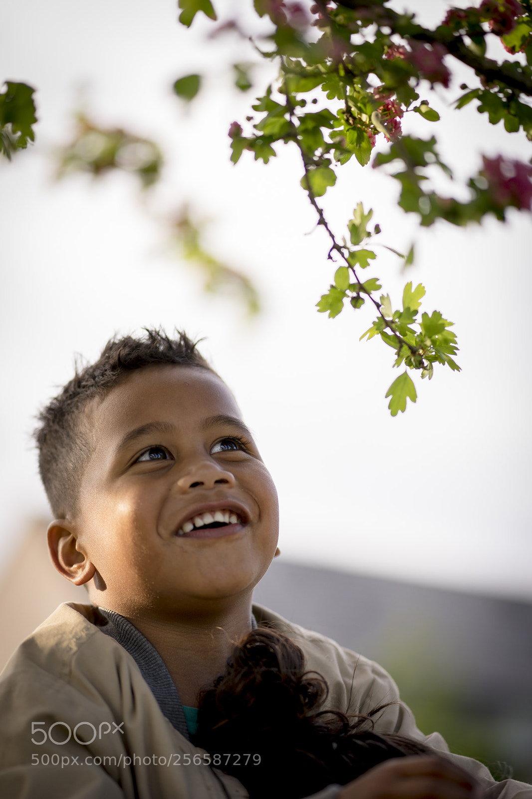 Sony a7 II sample photo. He always makes my photography
