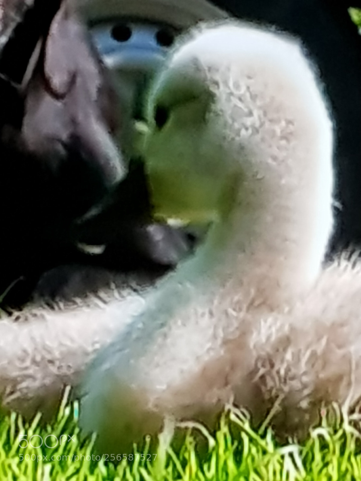 Samsung Galaxy S8 sample photo. Untitled photography