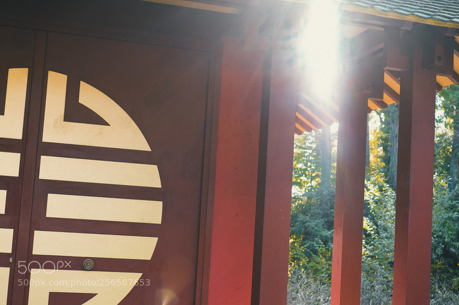 Sony a7 sample photo. Dsc photography