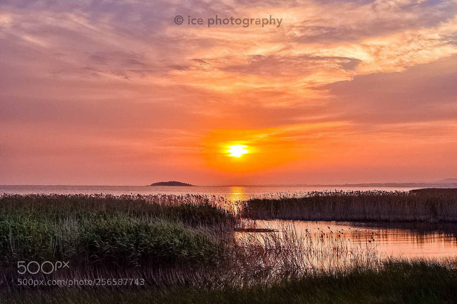 Nikon D7200 sample photo. Sunset photography