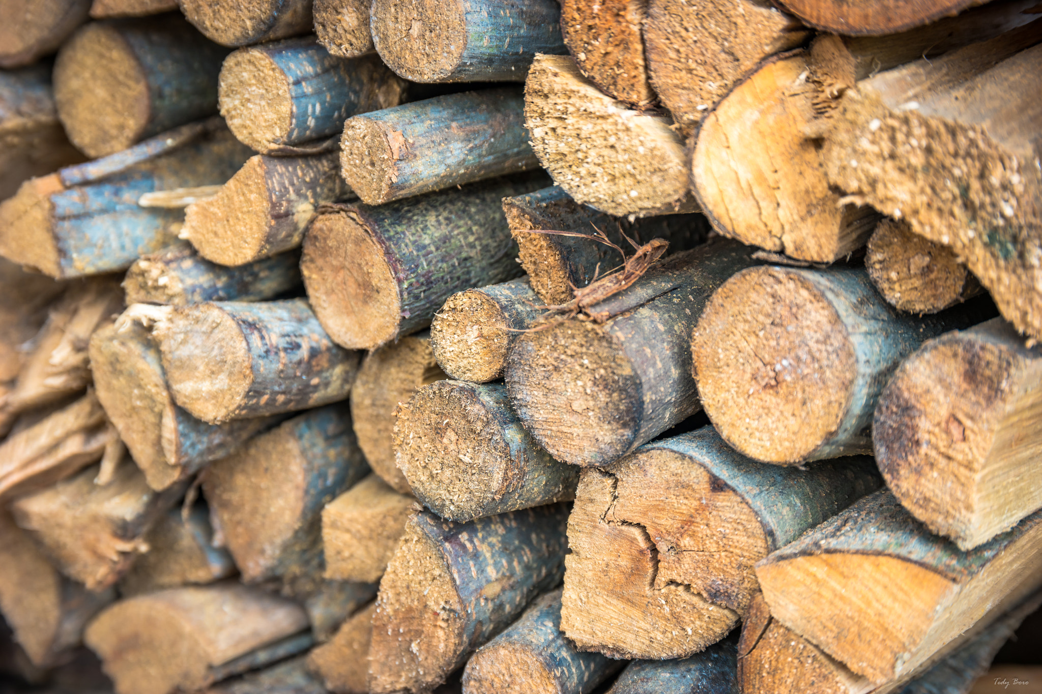 Samsung NX1 sample photo. Firewood photography