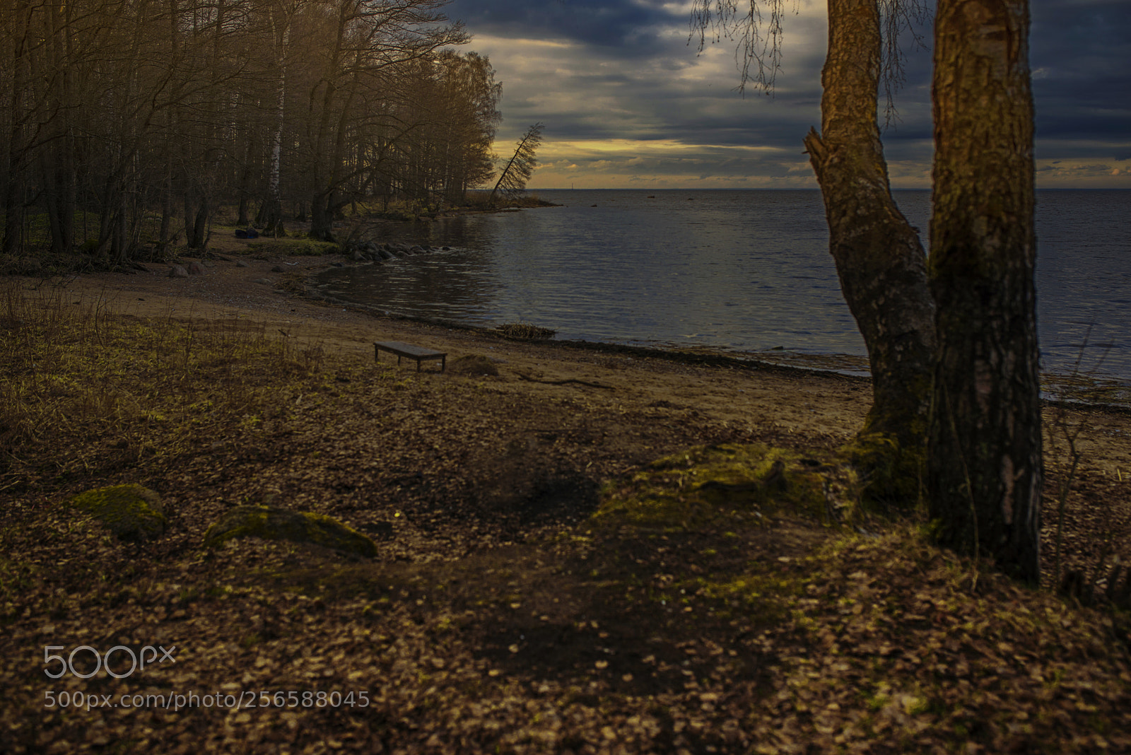Nikon D600 sample photo. Nordic spring photography