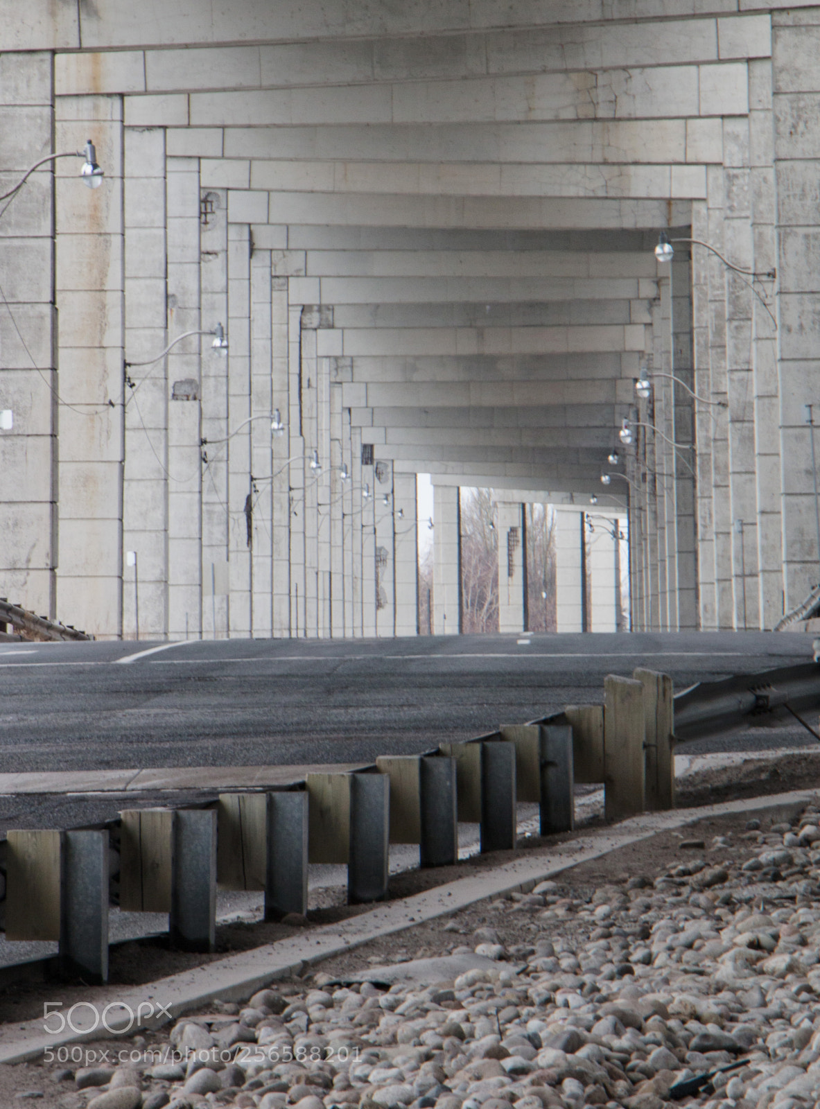 Canon EOS 70D sample photo. Boulevard under the parkway photography