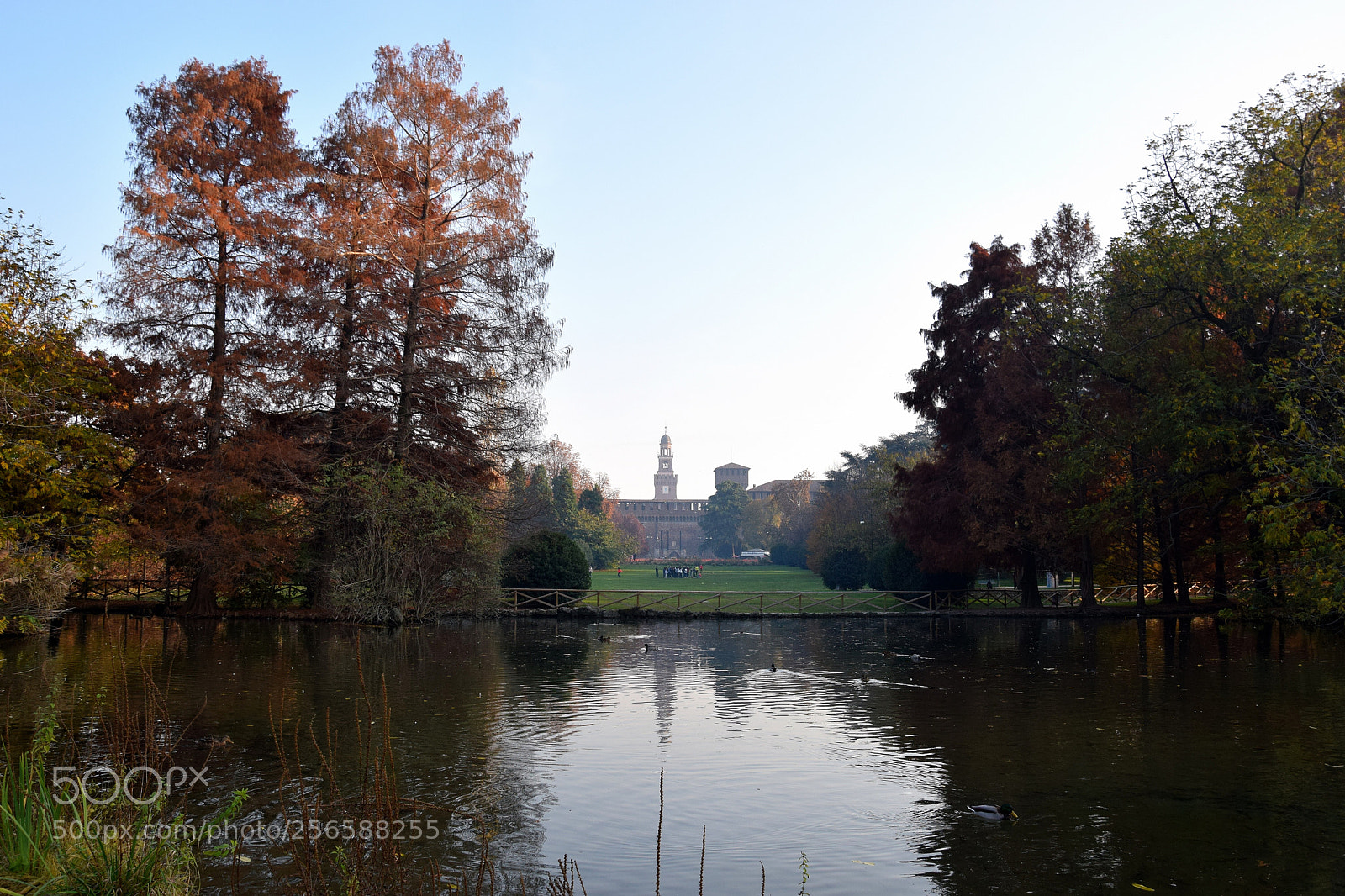 Nikon D3300 sample photo. Parco sempione e castello photography