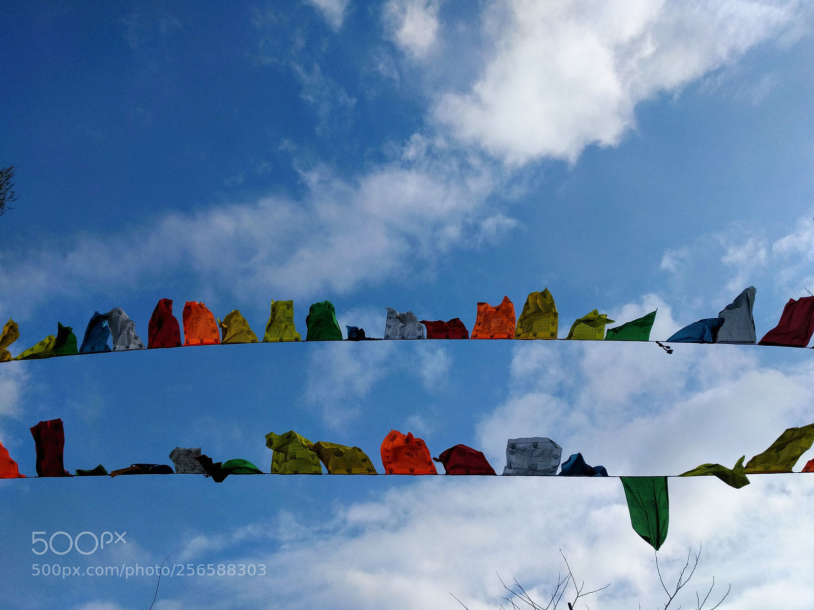 LG Nexus 5X sample photo. Flags photography