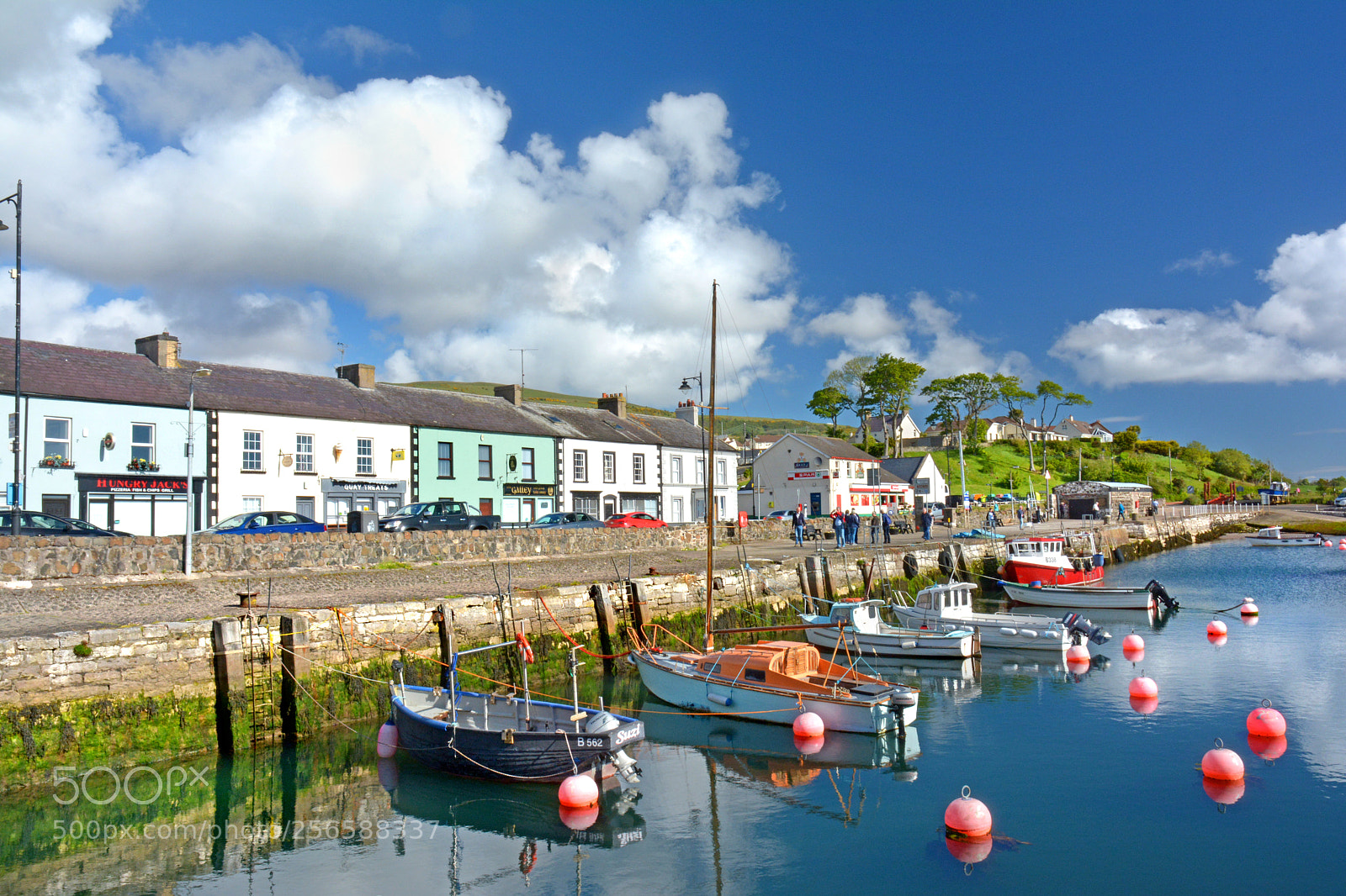 Nikon D7100 sample photo. Spring in carnlough photography