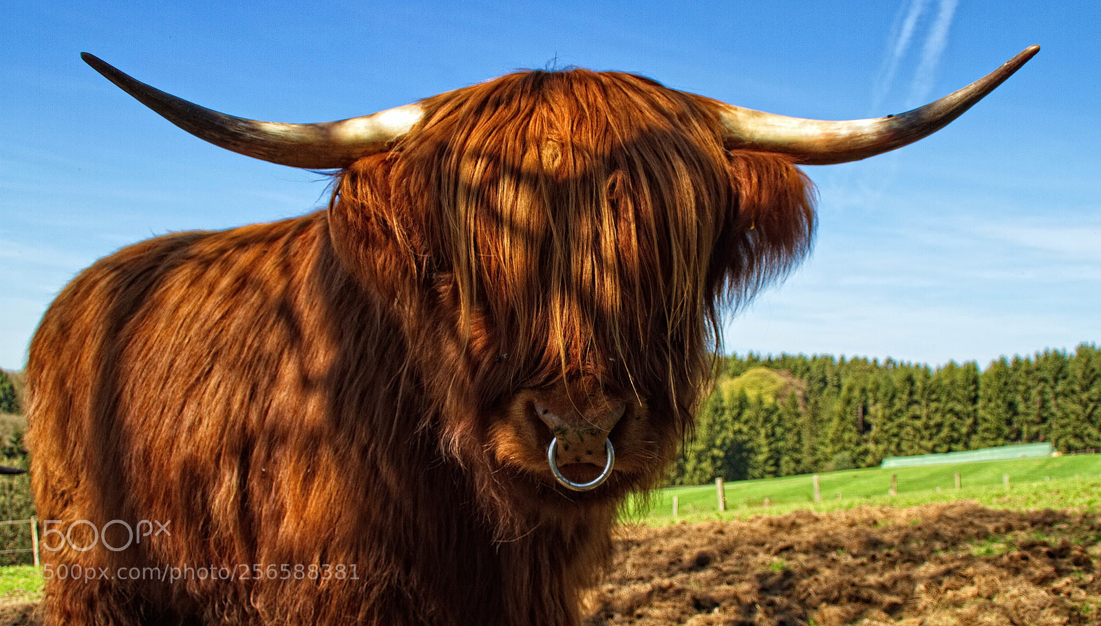 Canon EOS 7D sample photo. Highlander photography