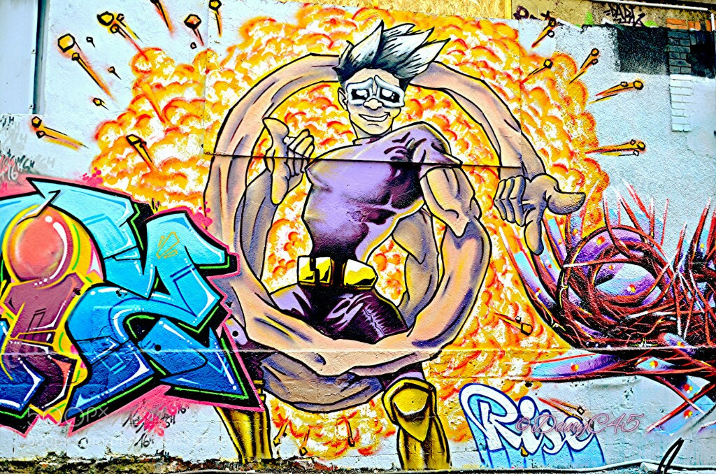Nikon D5100 sample photo. 89 - orléans (france) photography