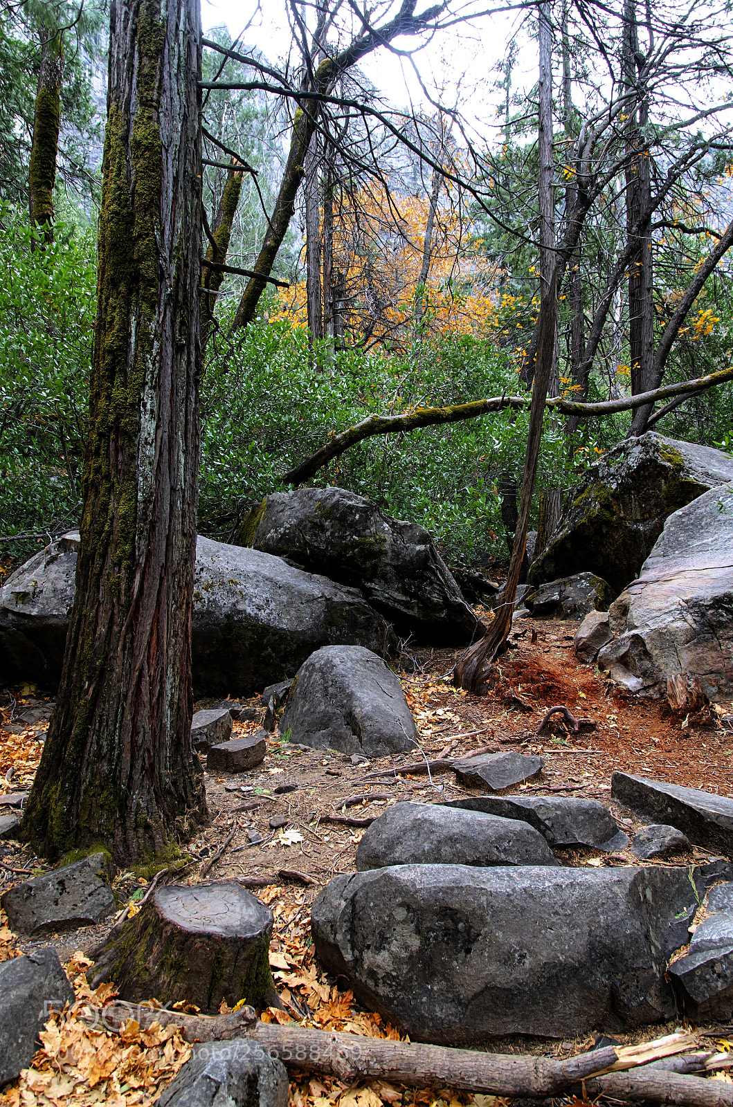 Nikon D7000 sample photo. A corner to relax photography