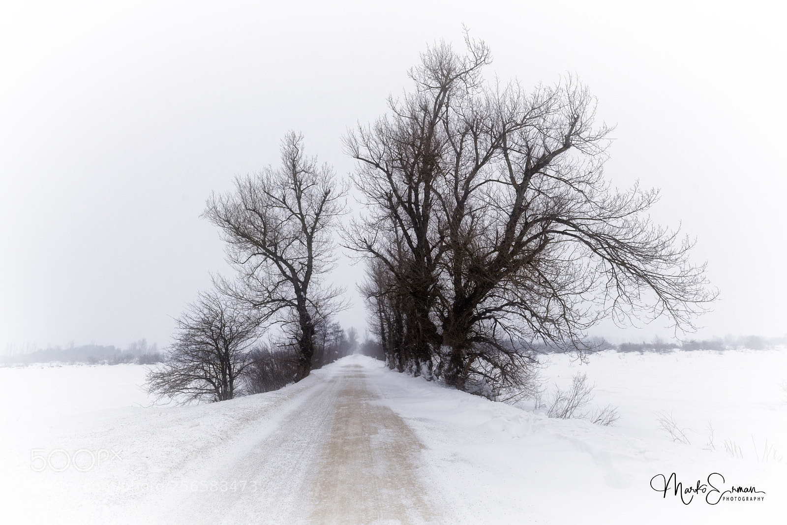 Sony a7R II sample photo. Endless road photography