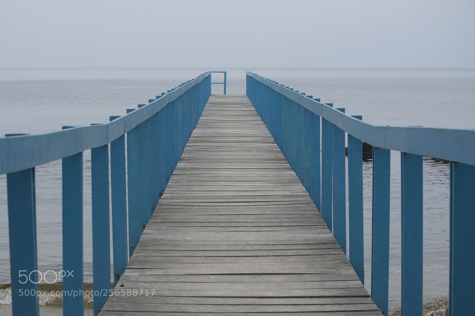 Nikon D3200 sample photo. Bridge photography