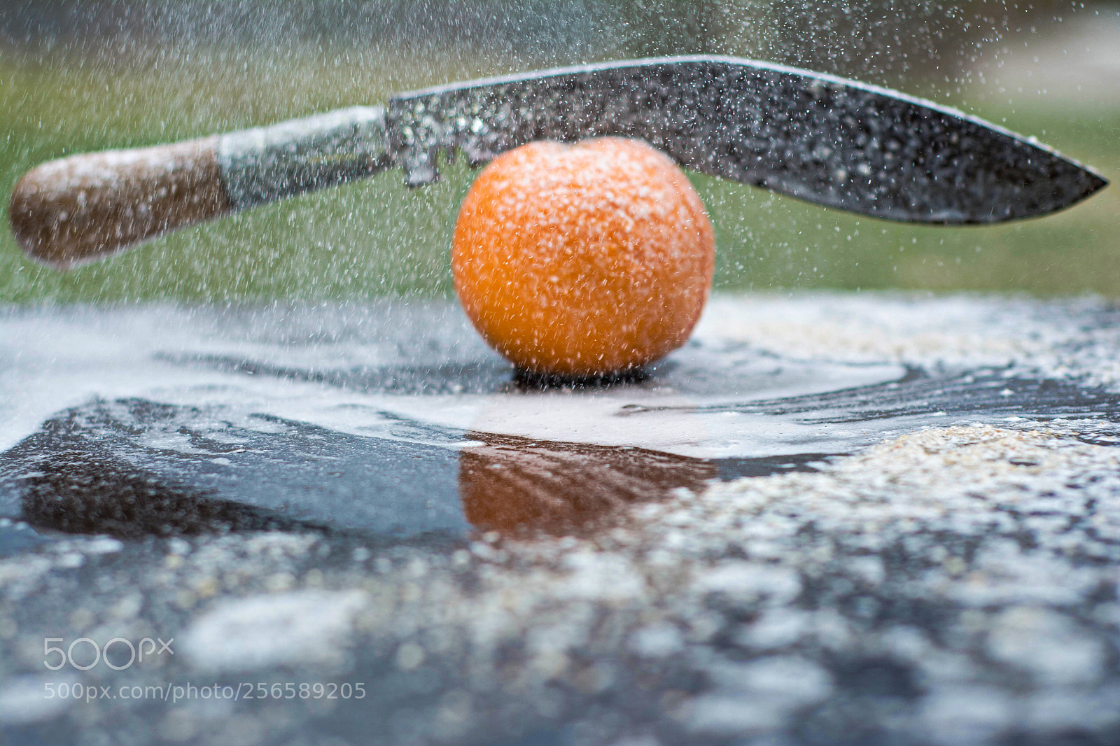 Nikon D7100 sample photo. Untitled photography