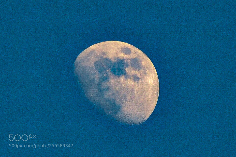 Nikon D5100 sample photo. Moon photography