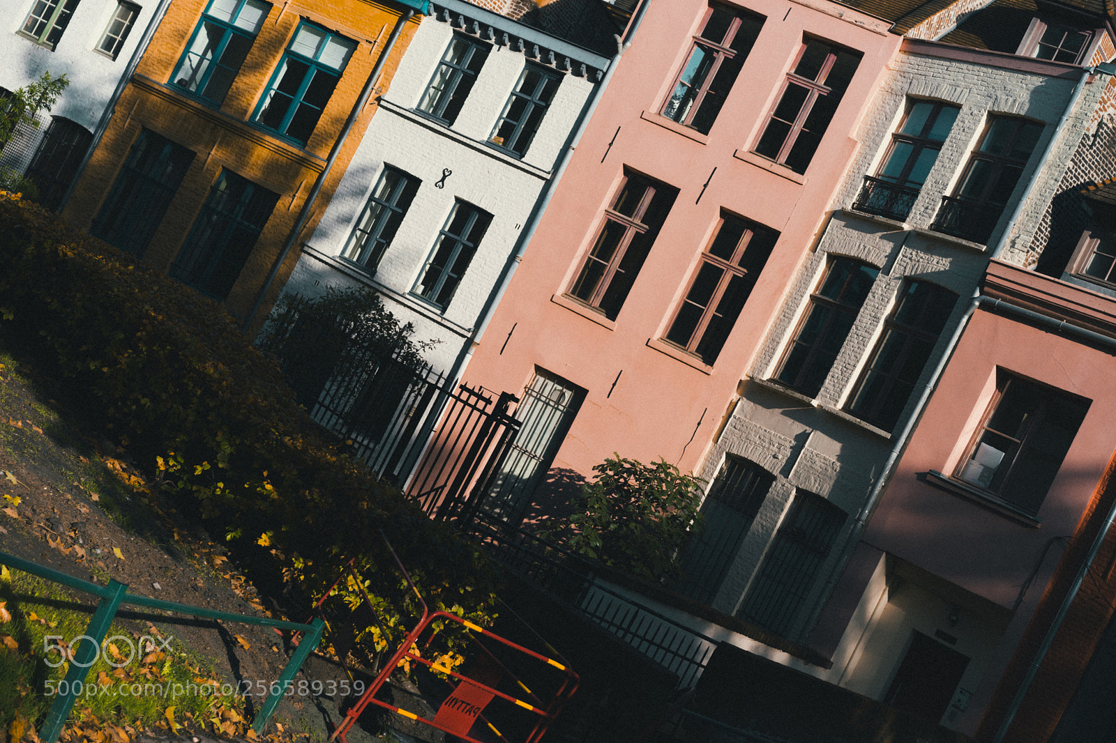 Sony a7 sample photo. Dsc photography