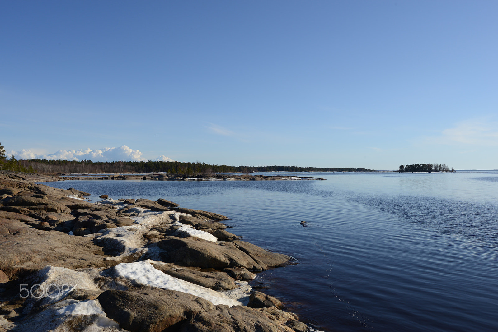 Nikon D800 sample photo. Springtime by the coast photography