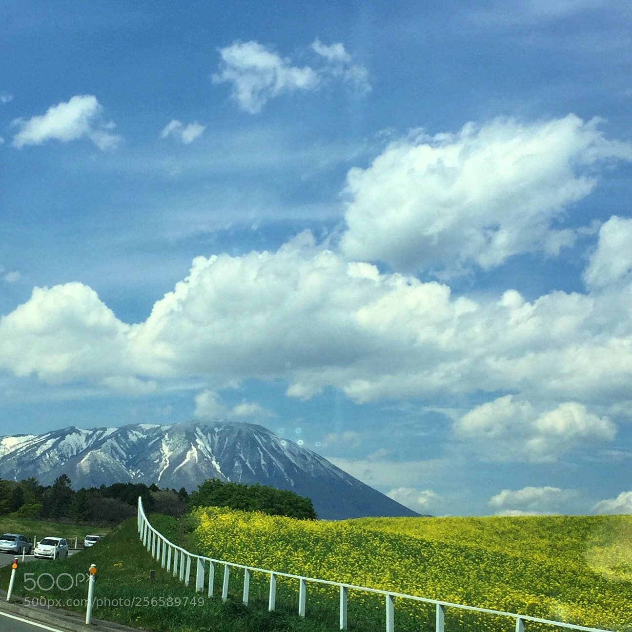 Apple iPhone 6 Plus sample photo. Driving  photography