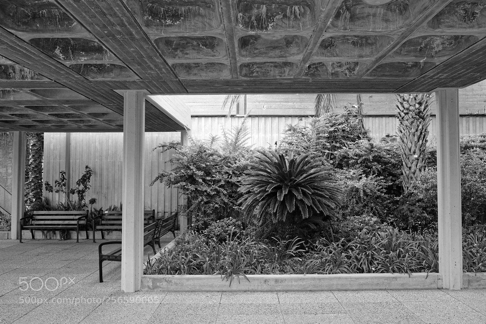 Fujifilm X-E3 sample photo. Concrete meet plants photography